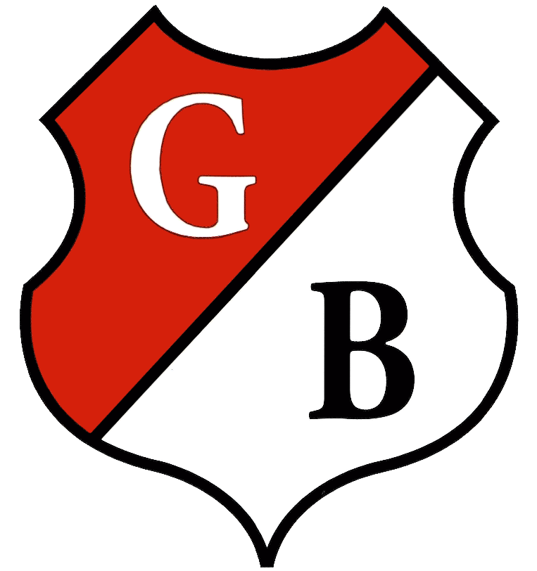 Clublogo voetbalvereniging VV Groninger Boys uit Groningen
