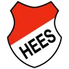 Clublogo voetbalvereniging VV Hees
