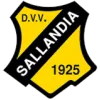 Clublogo voetbalvereniging DVV Sallandia