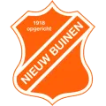 Club logo football club VV Nieuw Buinen